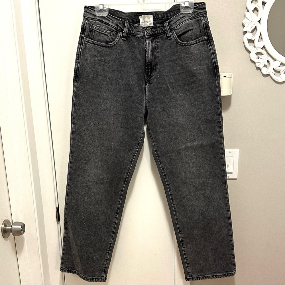 Habitual Lennox Denim Steel Gray Cropped Skinny Jeans Women’s 10/30 32” 12 US